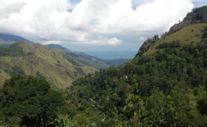 Hochgebirge auf Sri Lanka