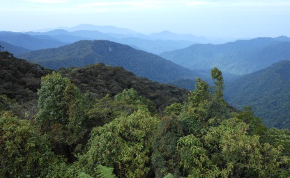 Blick auf die Cameron Highlands in Malaysia
