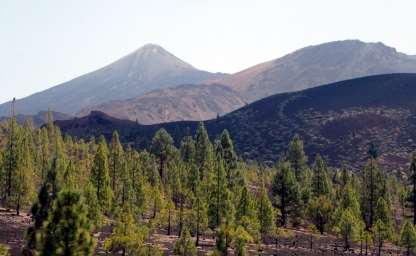 Vulkanlandschaft auf Lanzarote