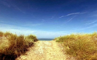 Dünen auf dem Fischland Darß-Zingst