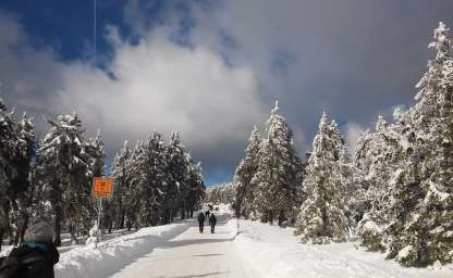 Wanderung auf den Brocken im Harzgebirge