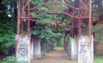 Wanderweg im Harzgebirge