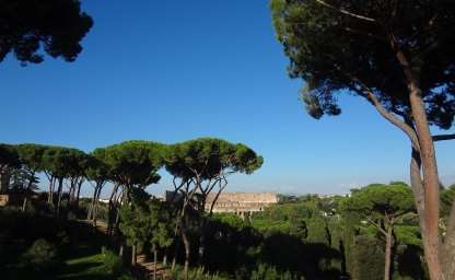 Blick auf das Kollosseum in Rom