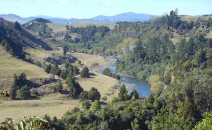 Hügellandschaft auf der Nordinsel Neuseelands