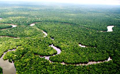 Blick auf den Amazonas Regendwald, Brasilien