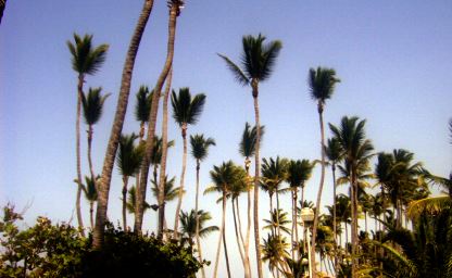 Strand von Punta Cana, Dominikanische Republik