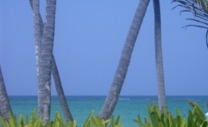 Strand in Punta Cana, Dominikanische Republik