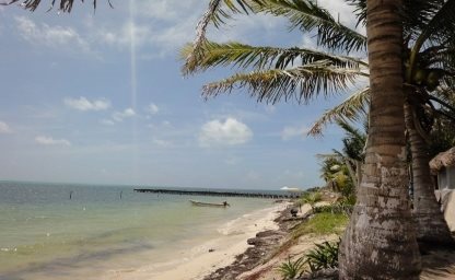 Verreisen in die Karibik - Karibik-Strand mit Palmen und türkis-blauem Wasser